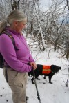 MSI Board member Cindy Heath with her dog Stanley on Mt. Orford, Quebec, Canada