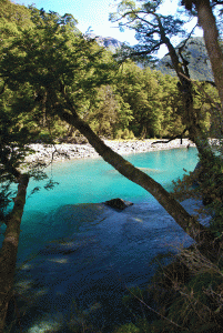 Wilken River, Makarora BC, NZ
